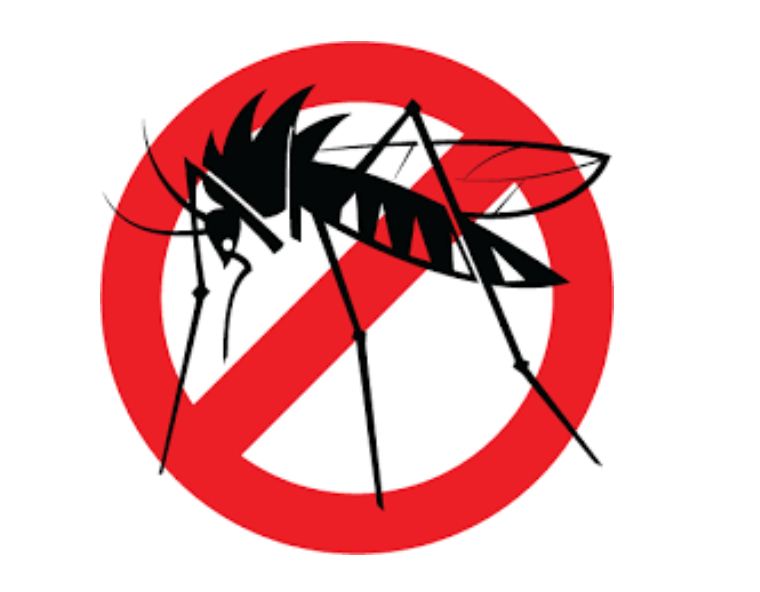 Dengue: nuevas recomendaciones para el equipo de salud