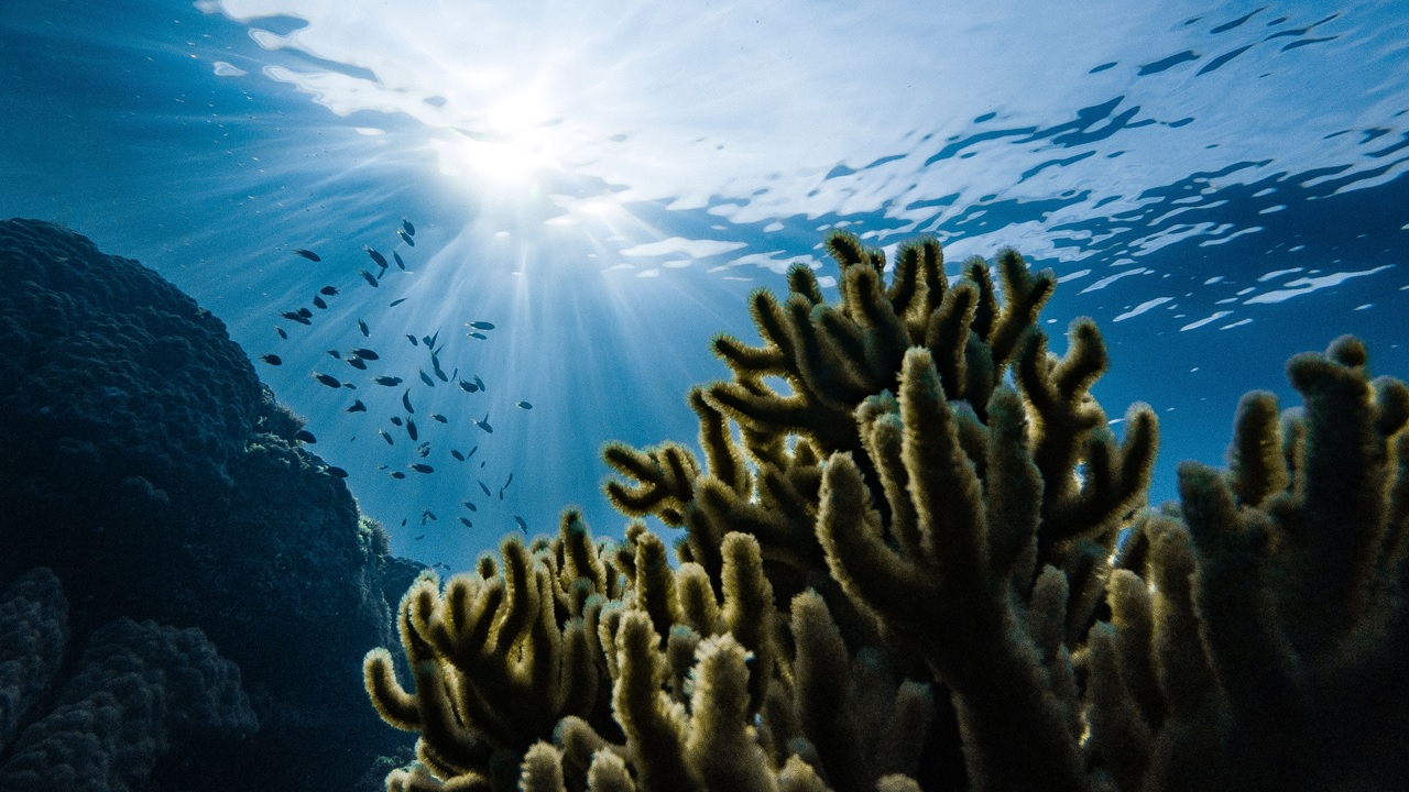 Blue beauty, un guiño clean al océano
