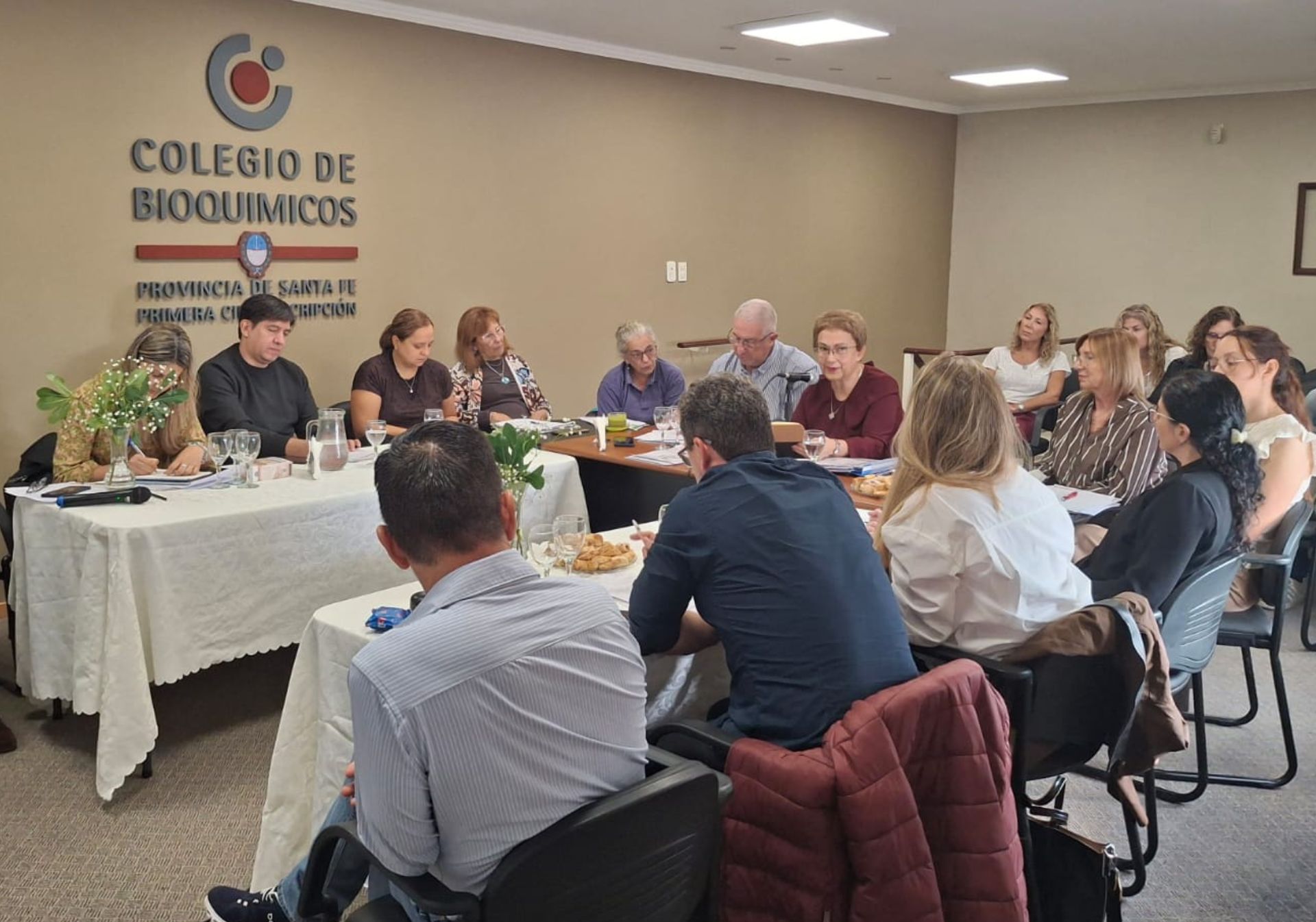 El COFyBCF en el plenario de la Coordinadora de Colegios de Bioquímicos de Ley