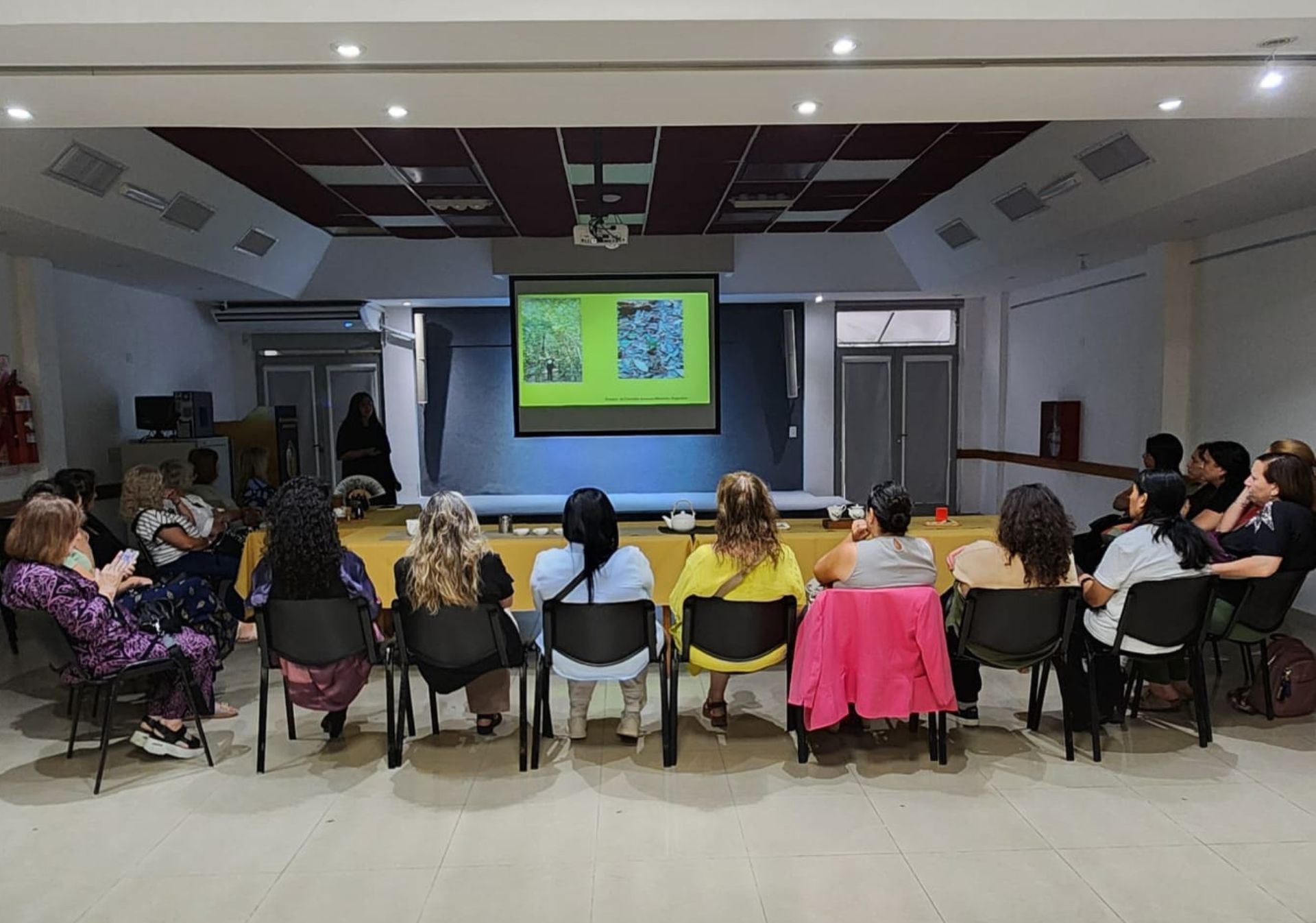 Té con Colegiados: un té de diálogo y formación continua